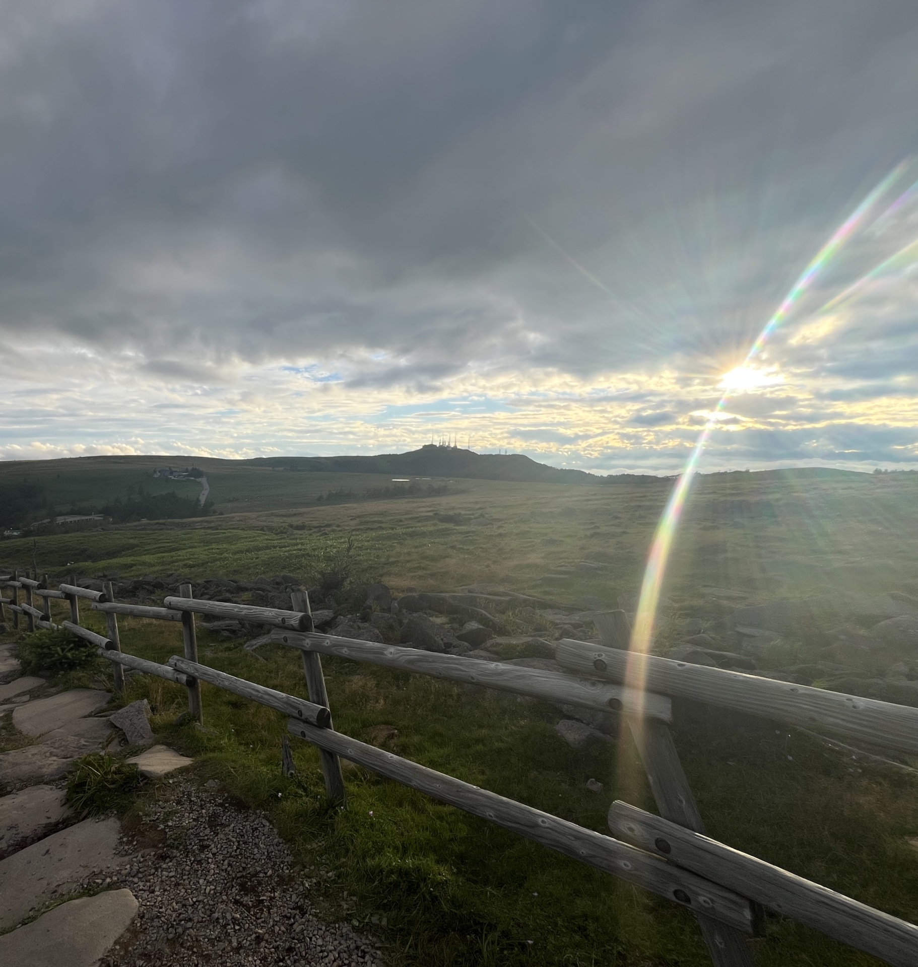 嘘がつくのが苦手な私の話